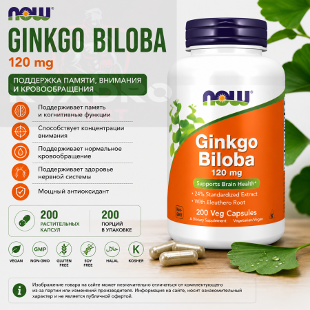 NOW Ginkgo Biloba 120 mg 200 vegcaps