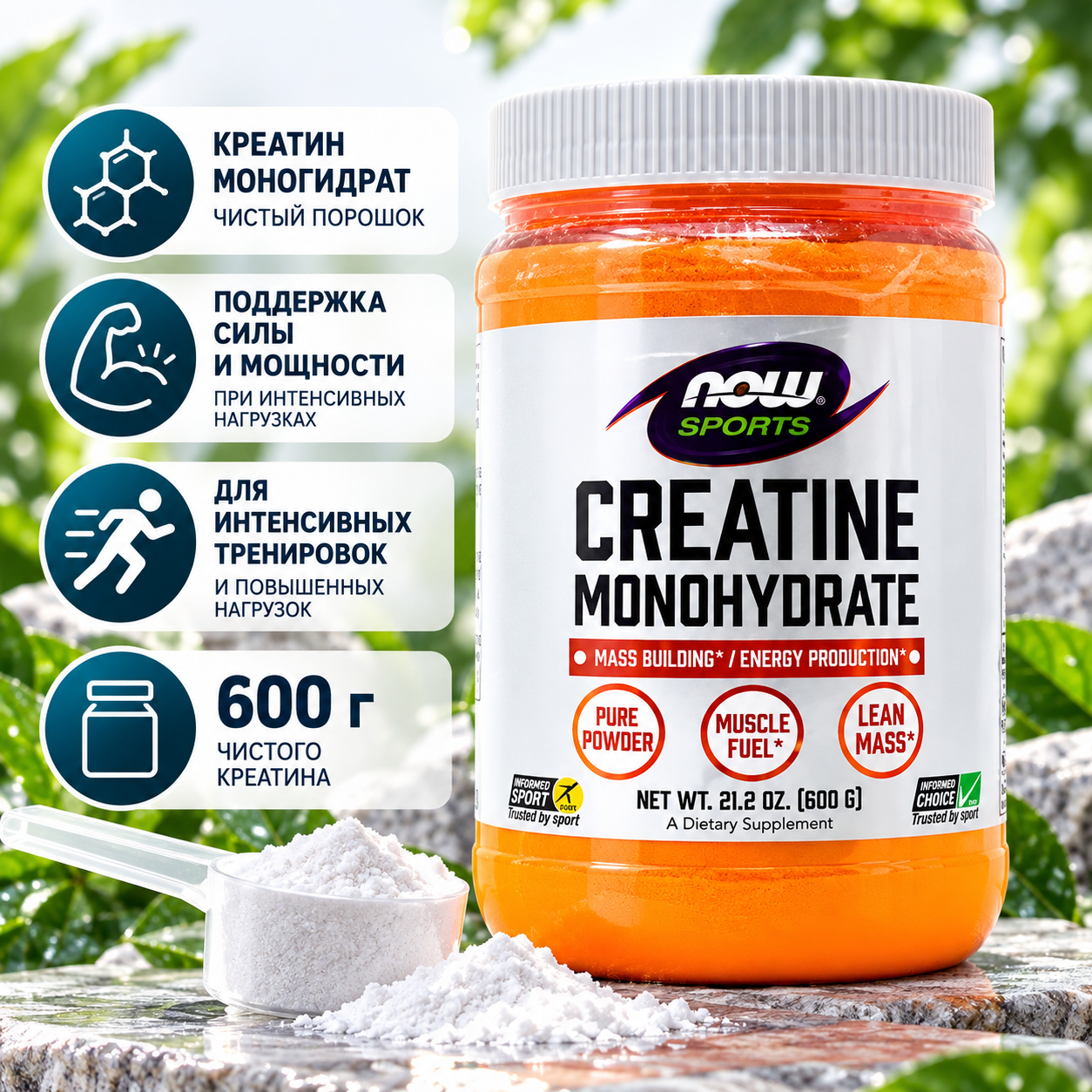 Now CREATINE POWDER  600 гр