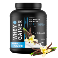 AminoCarnit Whey Gainer 3000 гр. ваниль