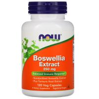 Now, BOSWELLIA EXTRACT 250mg 120 РАСТ.КАПСУЛ