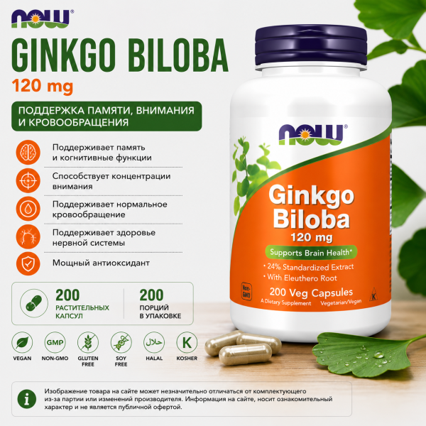NOW Ginkgo Biloba 120 mg 200 vegcaps